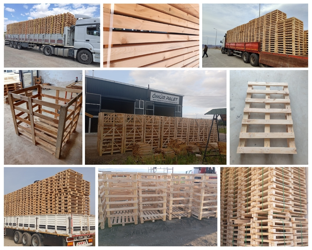Annemasse Palette Europe, Acheter des palettes en gros
